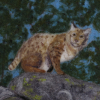 Bobcat Needle Felted Wool Painting