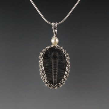 Trilobite Fossil Pendant Necklace Sterling Silver Viking Knit Wire Wrapped